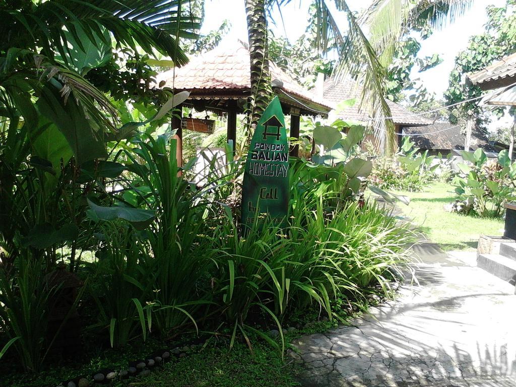 Pondok Balian Selemadeg  Εξωτερικό φωτογραφία